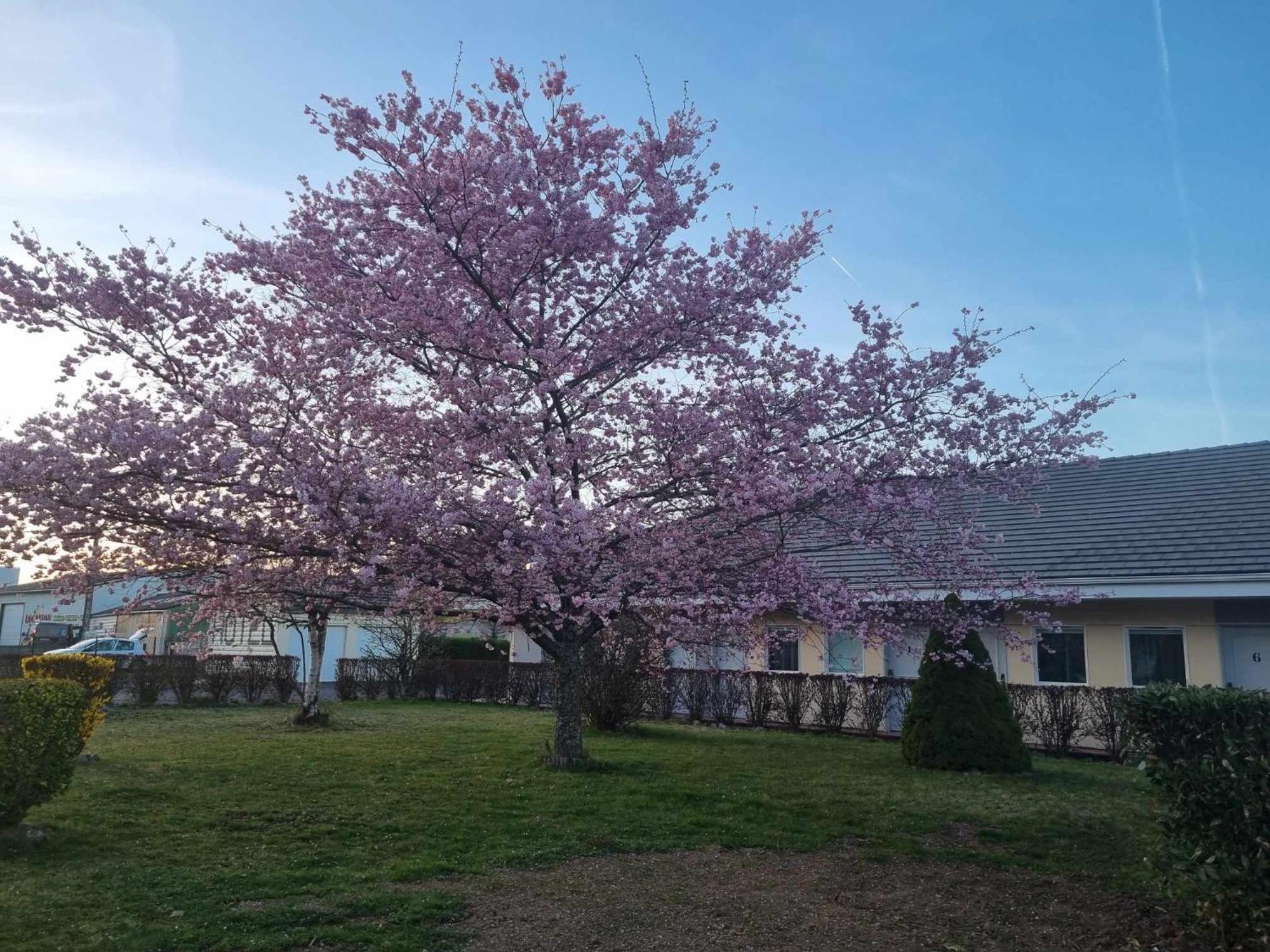 The Originals Access, Hotel Le Lutea Riom-es-Montagnes ภายนอก รูปภาพ